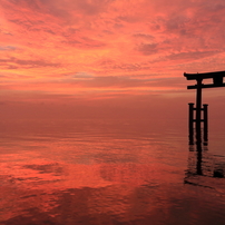 白髭神社