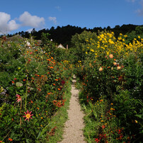 monet giverny 1