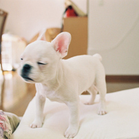 NIKON(ニコン)のレンズ Ai AF Nikkor 28mm F1.4D で撮影した写真(画像