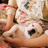 NIKON(ニコン)のレンズ Ai AF Nikkor 28mm F1.4D で撮影した写真(画像