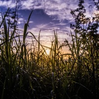 TOKINA(トキナー)のレンズ AT-X 116 PRO DX II 11-16mm F2.8