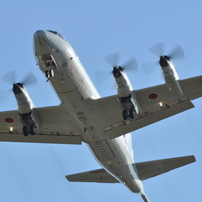 TAMRON(タムロン)のレンズ SP AF 70-210mm F/2.8 LD (Model 67D