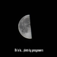 Moon Light Dance