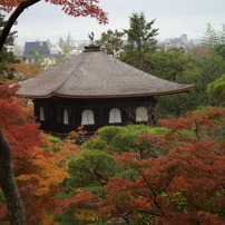 銀閣寺563