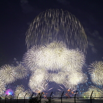 名港水上芸術花火2016