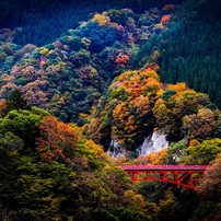 CANON(キヤノン)のレンズ EF80-200mm F2.8L で撮影した写真(画像)一覧