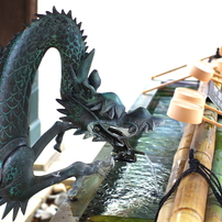 手水舎_龍_堀之内妙法寺