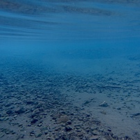 Blue World