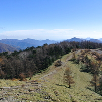 雲取山（2016）