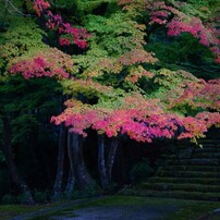 SIGMA(シグマ)のレンズ 30mm F2.8 DN ブラック [ソニー用] で撮影した