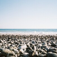 PENTAX(ペンタックス)のフィルムカメラESPIO 115M で撮影した写真(画像