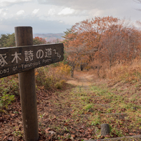 岩山展望台（2016晩秋）