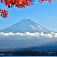 のんびりの時間