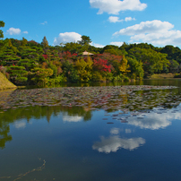 秋の彩り 防府市・毛利氏庭園１