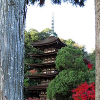 瑠璃光寺の紅葉