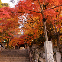 大窪寺