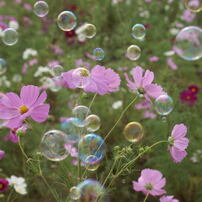 2009年09月