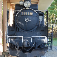 C58239　安住の地のはずだったのに・・・・