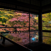 2016　Autumn