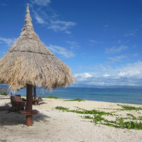 South Sea Island