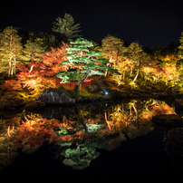 由志園 紅葉ライトアップ比較