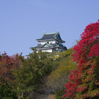和歌山城の紅葉2016