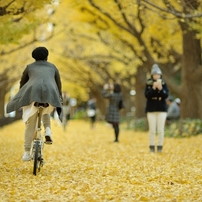 autumn for tokyoites