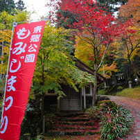 東郷公園