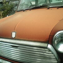 POLAROID(ポラロイド)のデジタルカメラa520 で撮影した写真(画像)一覧