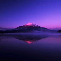 トキナー AT-X 165 PRO DX 16-50mm F2.8 ニコン Amazon.co.jp: Tokina 標準ズームレンズ AT-X 165 PRO DX 16