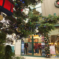 クリスマスツリー4