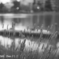 Canon SERENAR 35mm F3.2
