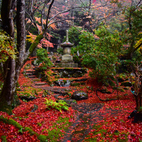 雨の日の栖賢寺4
