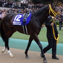 競馬写真館～PHOTOHITO版～(1)
