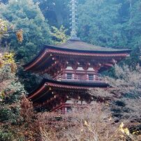 晩秋の浄瑠璃寺三重塔（国宝）　DSC_5861