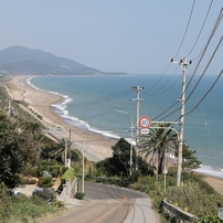 海
