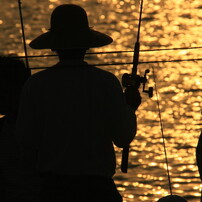Shadow  fishing