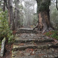 過去の旅行写真