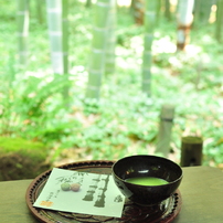 日常・お散歩・日帰り旅