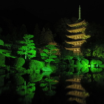 瑠璃光寺の夜景