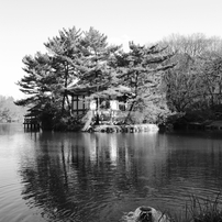 新年の石神井公園(2017年)1