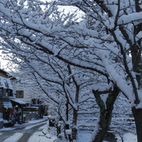 その他の雪