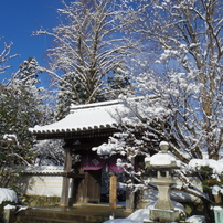 龍福寺の雪