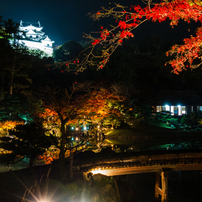 錦秋の彦根城借景２(玄宮園より）