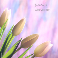 TULIP SISTERS