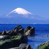 富士をバックに　城ヶ島岩場