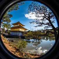 SIGMA(シグマ)のレンズ 8mm F3.5 EX DG CIRCULAR FISHEYE (ﾆｺﾝ用) で