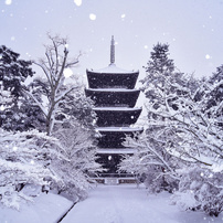 仁和寺の五重塔
