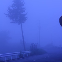 霧
