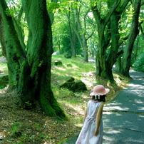 Trees